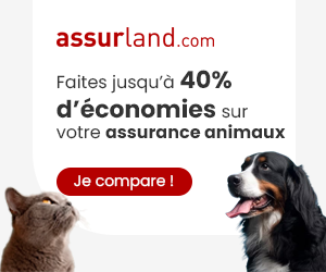 Assurance Animaux