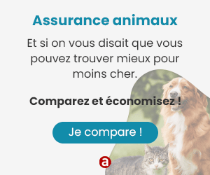 Assurance Animaux
