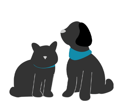 avis assurance santé animaux